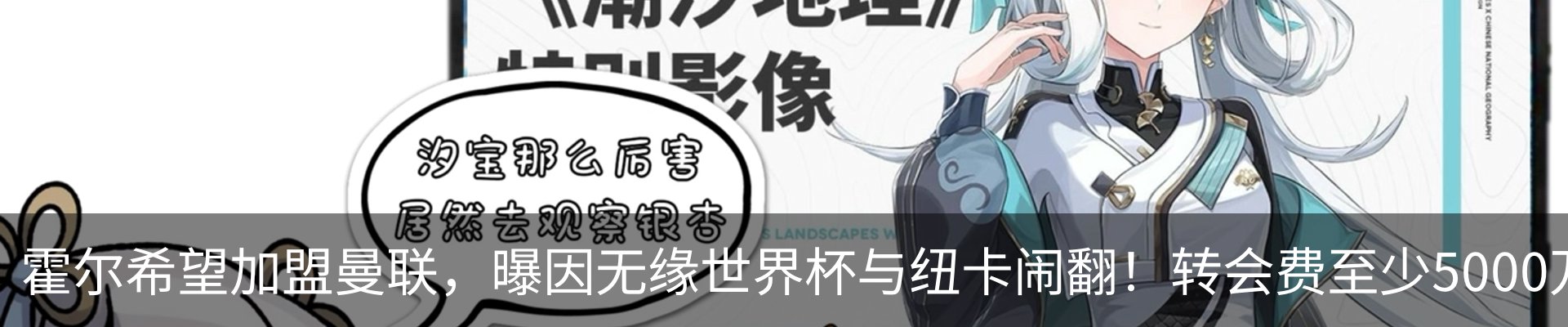 新闻动态